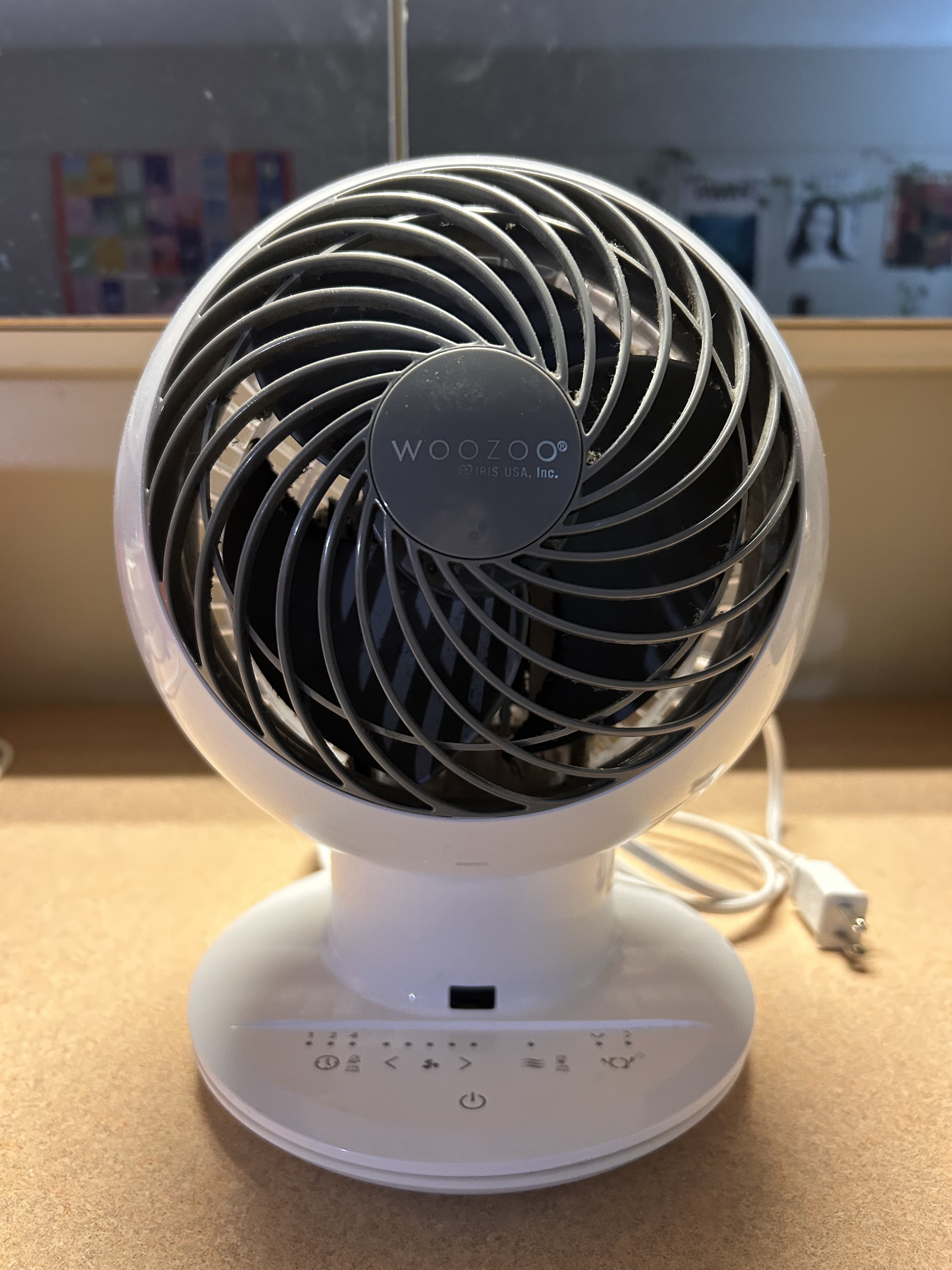 Multifunctional fan